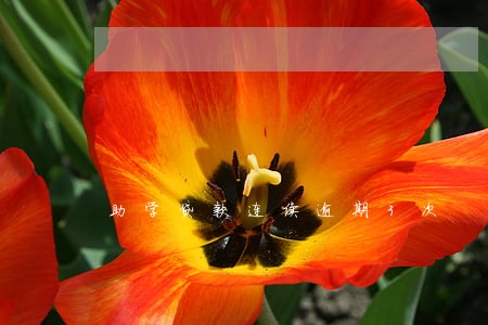 助学贷款连续逾期3次 助学贷款连续逾期3次