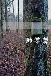 助学贷款逾期100次