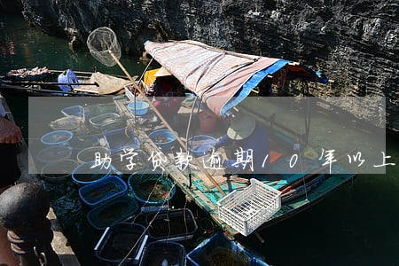 助学贷款逾期10年以上怎么还 助学贷款逾期10年以上怎么还
