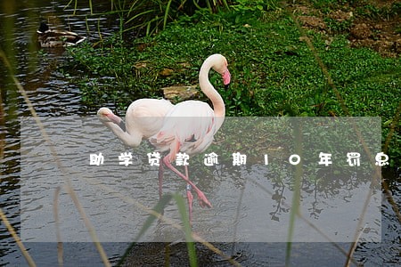 助学贷款逾期10年罚息怎么算 助学贷款逾期10年罚息怎么算