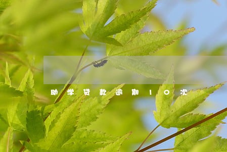 助学贷款逾期10次 助学贷款逾期10次