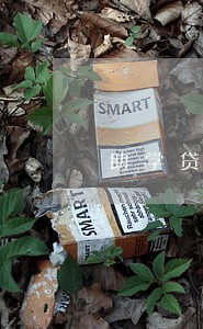 助学贷款逾期10次还能贷款吗 助学贷款逾期10次还能贷款吗