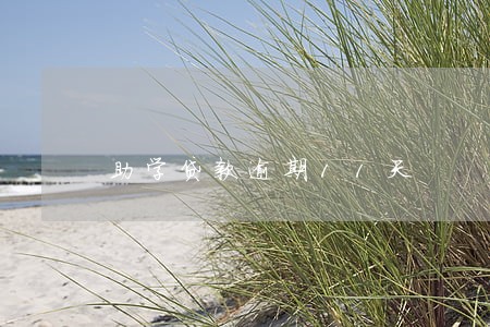 助学贷款逾期11天 助学贷款逾期11天