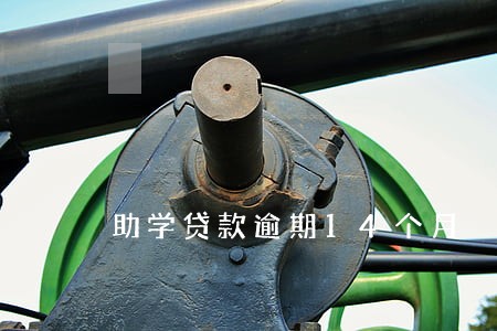 助学贷款逾期14个月 助学贷款逾期14个月