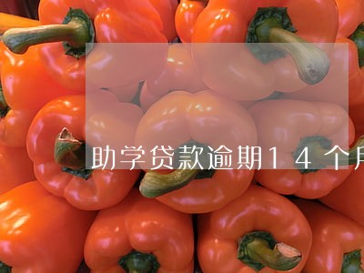 助学贷款逾期14个月3笔 助学贷款逾期14个月3笔