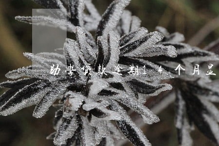 助学贷款逾期14个月显示一次 助学贷款逾期14个月显示一次