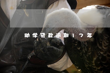 助学贷款逾期17年 助学贷款逾期17年