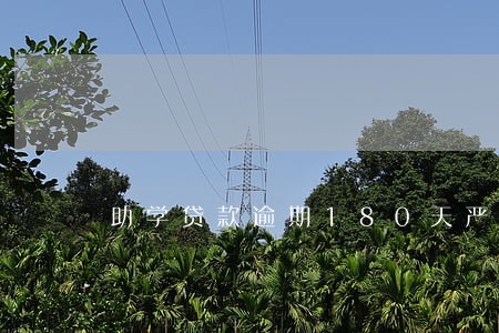 助学贷款逾期180天严重吗 助学贷款逾期180天严重吗
