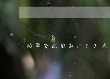 助学贷款逾期180天以上