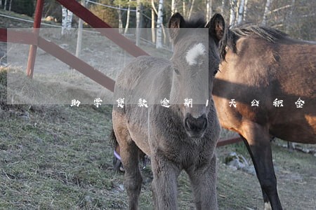 助学贷款逾期1天公积金 助学贷款逾期1天公积金