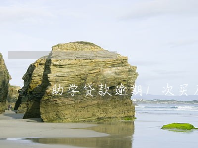 助学贷款逾期1次买房
