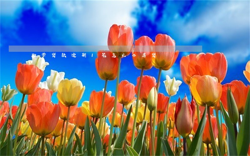 助学贷款逾期1笔怎么办房贷 助学贷款逾期1笔怎么办房贷
