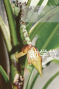 助学贷款逾期20月 助学贷款逾期20月