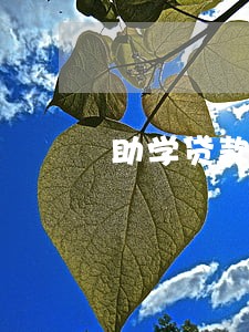 助学贷款逾期23期怎么办