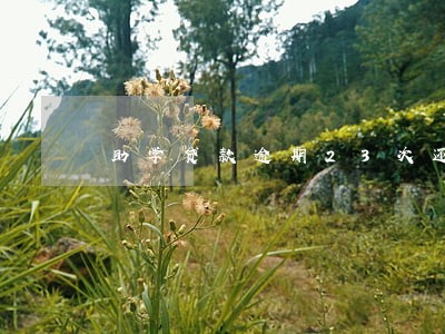 助学贷款逾期23次还能贷款吗 助学贷款逾期23次还能贷款吗