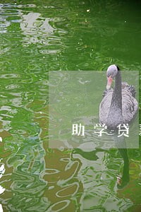 助学贷款逾期29个月 助学贷款逾期29个月