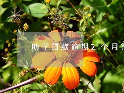 助学贷款逾期2个月算逾期几次 助学贷款逾期2个月算逾期几次