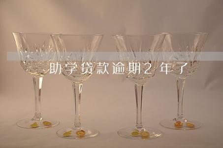 助学贷款逾期2年了 助学贷款逾期2年了