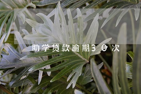 助学贷款逾期30次 助学贷款逾期30次