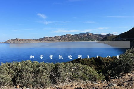 助学贷款逾期31个月 助学贷款逾期31个月