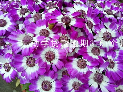 助学贷款逾期35个月 助学贷款逾期35个月