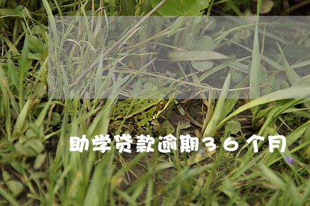 助学贷款逾期36个月 助学贷款逾期36个月