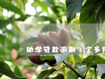 助学贷款逾期3个多月了 助学贷款逾期3个多月了