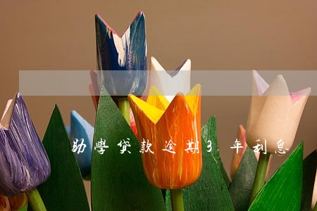 助学贷款逾期3年利息 助学贷款逾期3年利息
