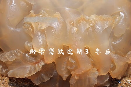 助学贷款逾期3年后 助学贷款逾期3年后