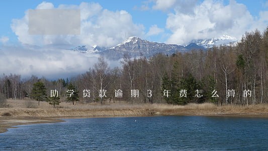 助学贷款逾期3年费怎么算的 助学贷款逾期3年费怎么算的