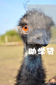 助学贷款逾期3次怎么办 助学贷款逾期3次怎么办