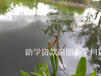 助学贷款逾期4个月还能房贷吗 助学贷款逾期4个月还能房贷吗
