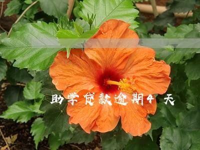 助学贷款逾期4天 助学贷款逾期4天
