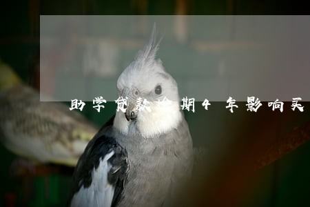 助学贷款逾期4年影响买房吗 助学贷款逾期4年影响买房吗