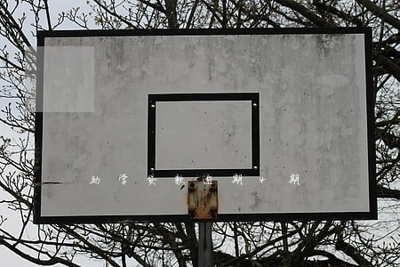 助学贷款逾期4期 助学贷款逾期4期