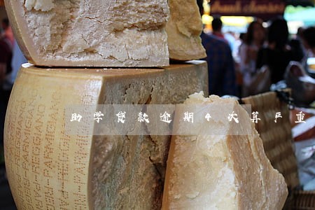 助学贷款逾期4次算严重吗 助学贷款逾期4次算严重吗