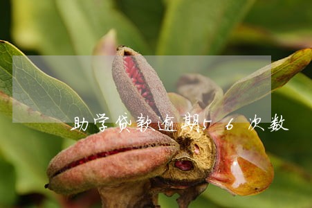 助学贷款逾期56次数 助学贷款逾期56次数