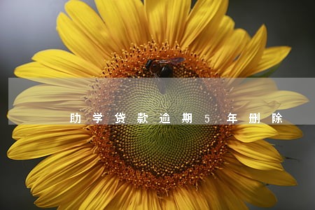 助学贷款逾期5年删除 助学贷款逾期5年删除