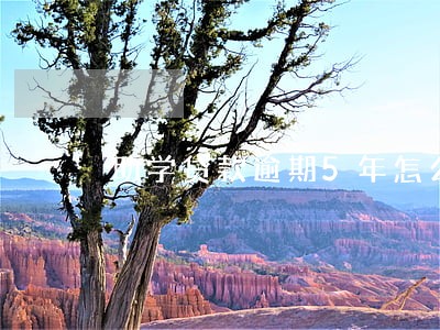 助学贷款逾期5年怎么办