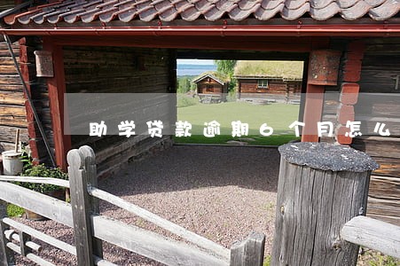 助学贷款逾期6个月怎么补救 助学贷款逾期6个月怎么补救