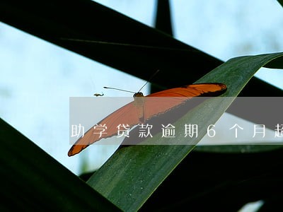 助学贷款逾期6个月超过90 助学贷款逾期6个月超过90