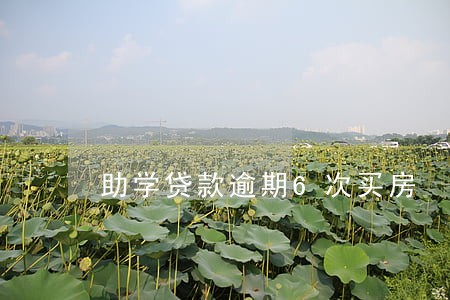 助学贷款逾期6次买房 助学贷款逾期6次买房
