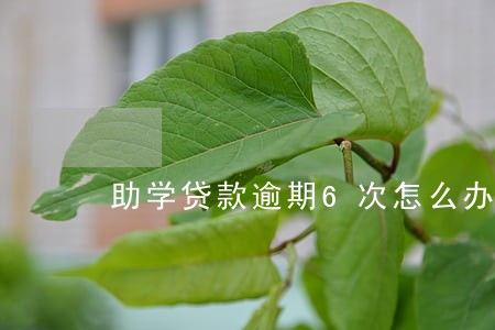 助学贷款逾期6次怎么办 助学贷款逾期6次怎么办