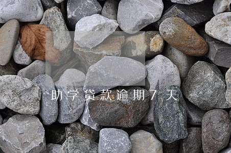 助学贷款逾期7天