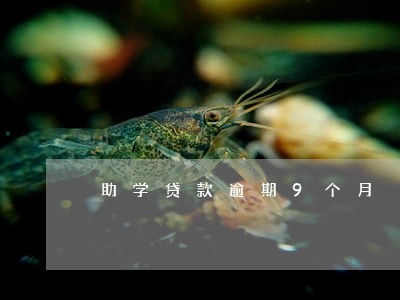 助学贷款逾期9个月 助学贷款逾期9个月