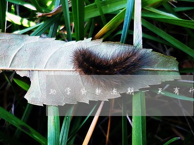 助学贷款逾期一天有什么后果