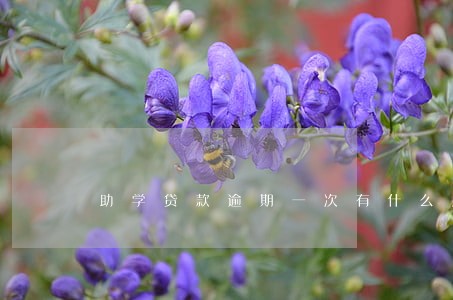 助学贷款逾期一次有什么后果 助学贷款逾期一次有什么后果