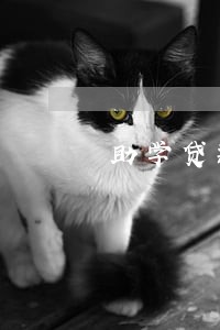 助学贷款逾期一百多天 助学贷款逾期一百多天