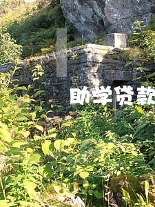助学贷款逾期三个月后果 助学贷款逾期三个月后果