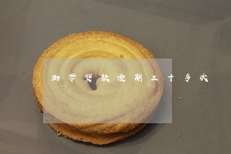助学贷款逾期三十多次 助学贷款逾期三十多次